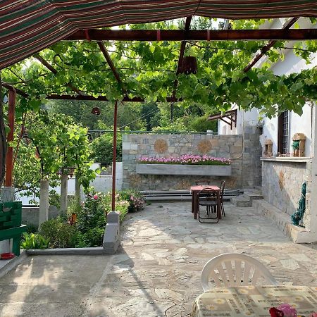 Η Θεα Traditional House Макринитса Экстерьер фото