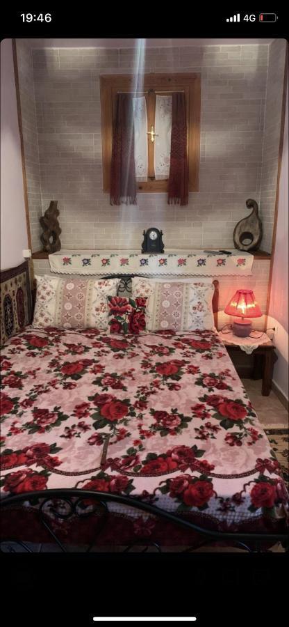 Η Θεα Traditional House Макринитса Экстерьер фото